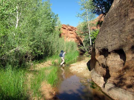 Coyote Gulch