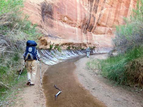 Coyote Gulch