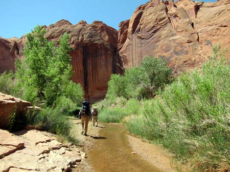 Coyote Gulch