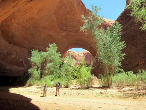 Coyote Gulch