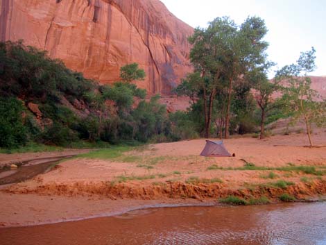 Coyote Gulch