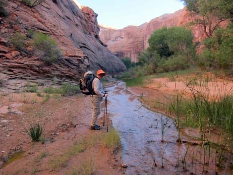 Coyote Gulch