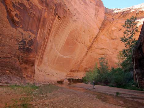 Coyote Gulch