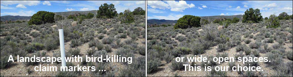 Illegal Mining Claim Markers