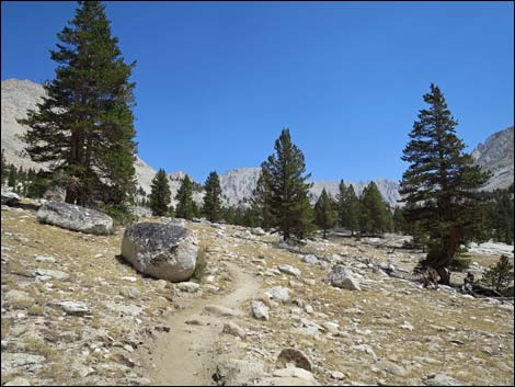 John Muir Trail