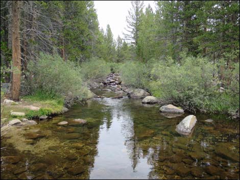 John Muir Trail