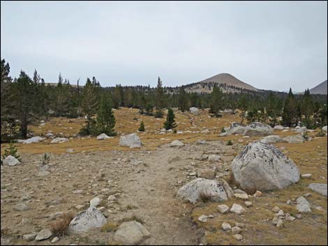 John Muir Trail