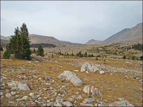 John Muir Trail