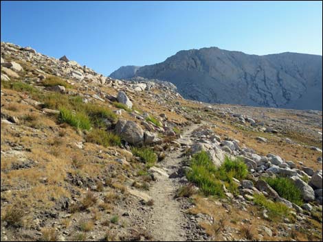 John Muir Trail