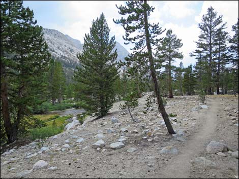 John Muir Trail