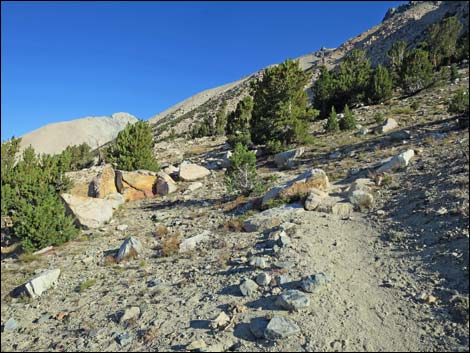 John Muir Trail