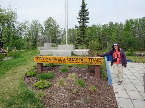 Alaska Birding