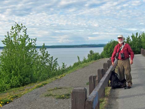 Alaska Birding