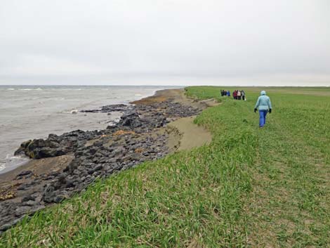 St. Paul, Pribilof Islands