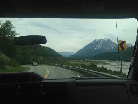 Denali birding