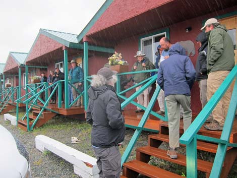 Denali birding