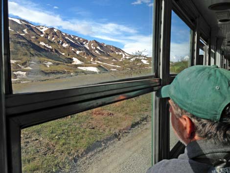 Denali birding