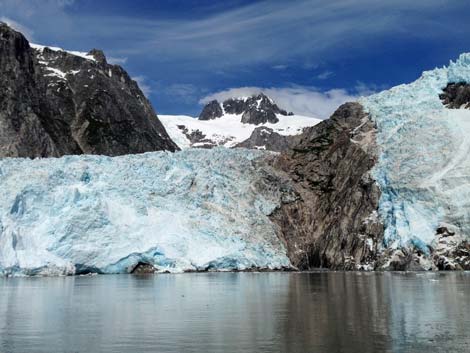 Seward birding