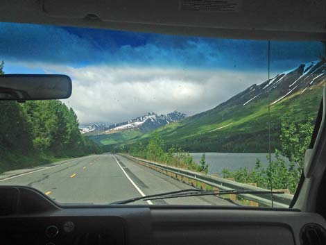 Seward Birding