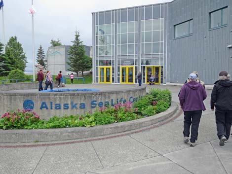 Seward Birding