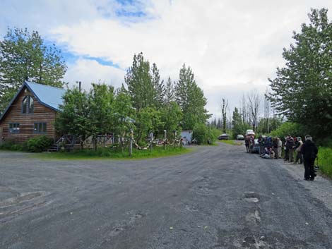 Seward Birding