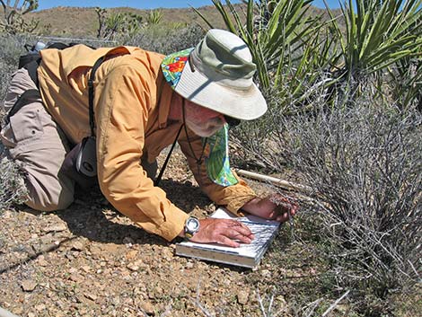 working at USGS