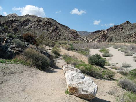 Bridge Canyon Wilderness Area