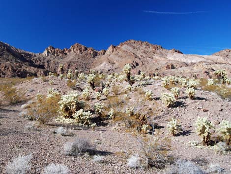 El Dorado Wilderness Area