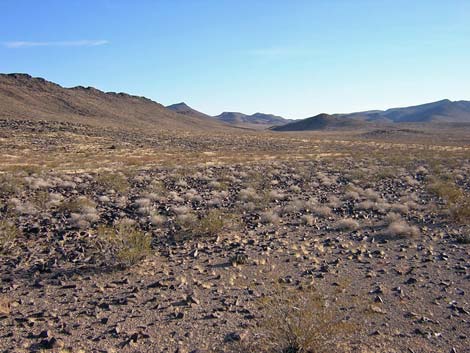 El Dorado Wilderness Area