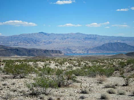 Ireteba Peaks Wilderness Area