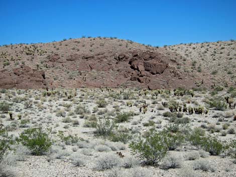 Ireteba Peaks Wilderness Area