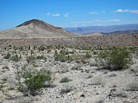 Ireteba Peaks Wilderness Area