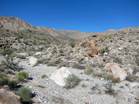 Ireteba Peaks Wilderness Area