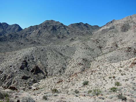 Ireteba Peaks Wilderness Area