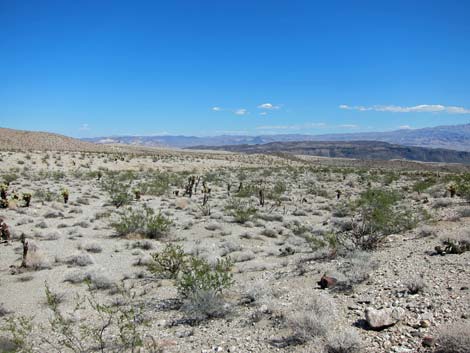 Ireteba Peaks Wilderness Area