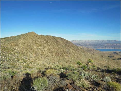 Jumbo Springs Wilderness Area