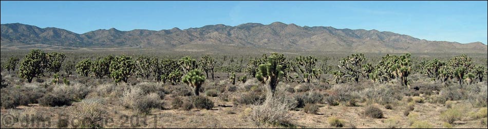 South McCullough Wilderness Area