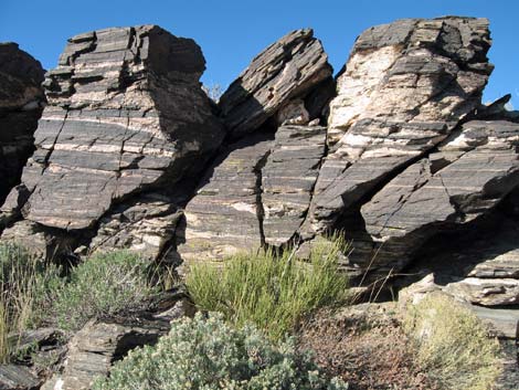 South McCullough Wilderness Area