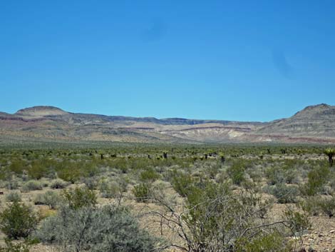 Meadow Valley Range Wilderness Area