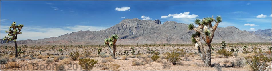 Mormon Mountains Wilderness Area