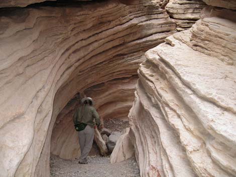 Muddy Mountains Wilderness Area