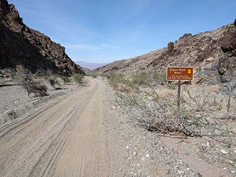 Nellis Wash Wilderness Area