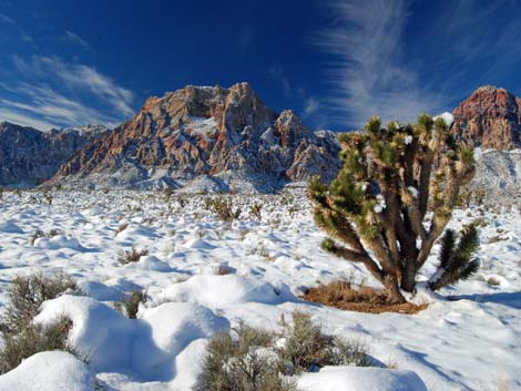 Rainbow Mountain Wilderness Area