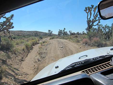 Wee Thump Joshua Tree Wilderness Area