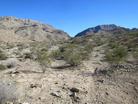 Lime Canyon Wilderness Area