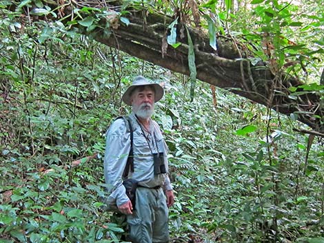 birding in Jamaica