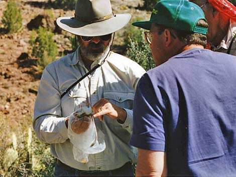 kangaroo rat